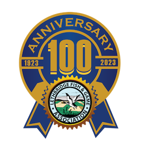 100 Years of LFGA Anniversary logo